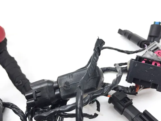 Main Engine Wiring Harness 2022 BMW G310R 3238 PARTS