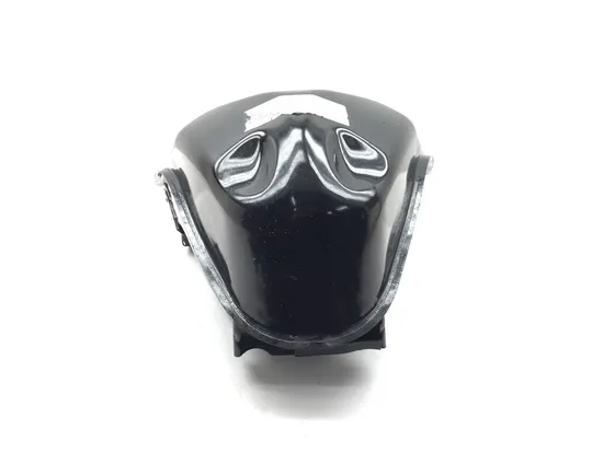 Gas Tank Fuel Petrol 2022 BMW G310R 3238