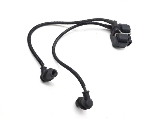 Ignition Coil 2008 Polaris RZR 800 EFI 3242