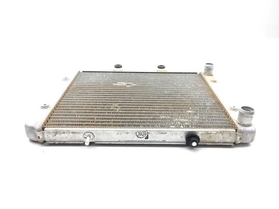 Engine Radiator Cooling 2008 Polaris RZR 800 EFI 3242