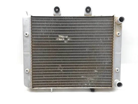 Engine Radiator Cooling 2008 Polaris RZR 800 EFI 3242