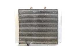 Engine Radiator Cooling 2008 Polaris RZR 800 EFI 3242