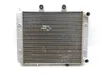 Engine Radiator Cooling 2008 Polaris RZR 800 EFI 3242