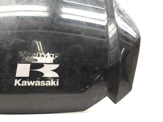Hood 2020 Kawasaki Teryx 800 KRF800 3215 x