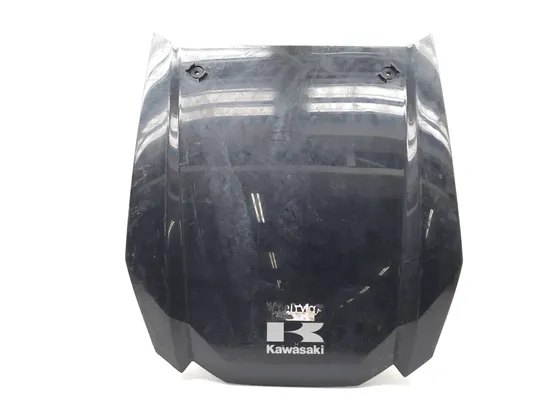 Hood 2020 Kawasaki Teryx 800 KRF800 3215 x