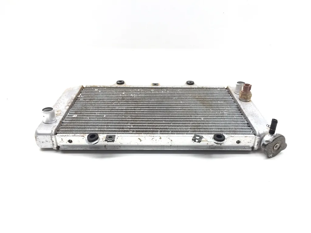 Engine Radiator Cooling 2005 Yamaha Grizzly 660 YFM660FA 4x4 3243