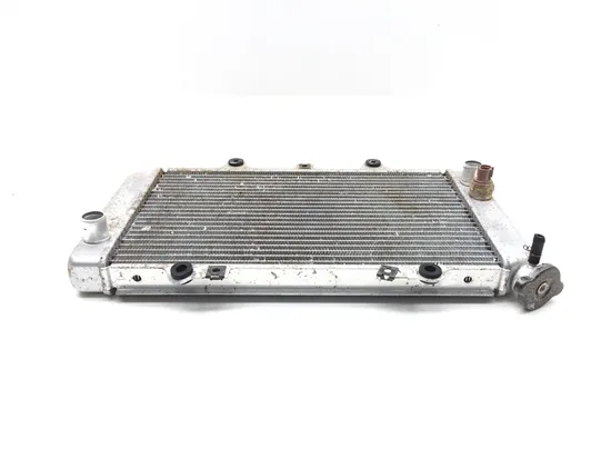 Engine Radiator Cooling 2005 Yamaha Grizzly 660 YFM660FA 4x4 3243
