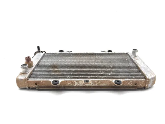 Engine Radiator Cooling 2005 Yamaha Grizzly 660 YFM660FA 4x4 3243