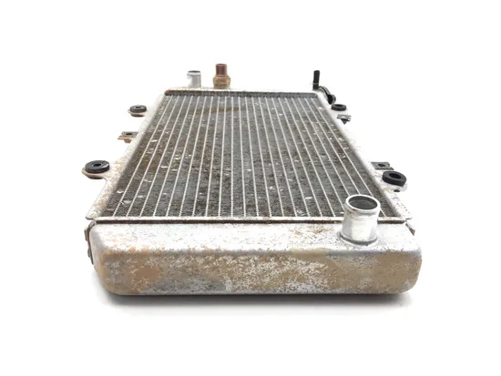 Engine Radiator Cooling 2005 Yamaha Grizzly 660 YFM660FA 4x4 3243