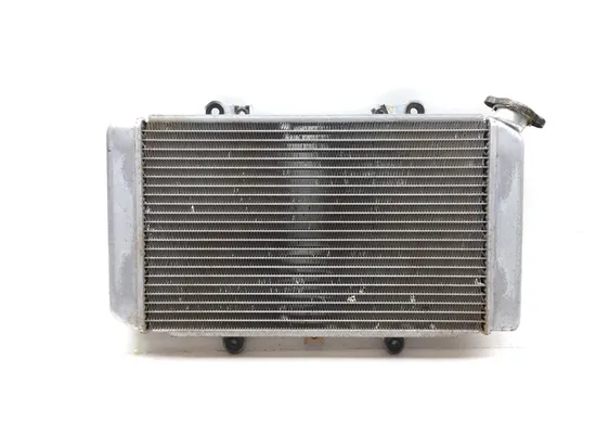 Engine Radiator Cooling 2005 Yamaha Grizzly 660 YFM660FA 4x4 3243