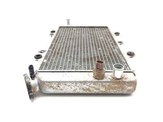 Engine Radiator Cooling 2005 Yamaha Grizzly 660 YFM660FA 4x4 3243