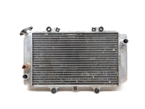 Engine Radiator Cooling 2005 Yamaha Grizzly 660 YFM660FA 4x4 3243