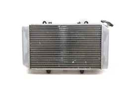 Engine Radiator Cooling 2005 Yamaha Grizzly 660 YFM660FA 4x4 3243