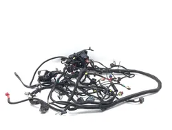 Main Engine Wiring Harness 2019 Can-Am Defender HD8 4x4 DPS 3231