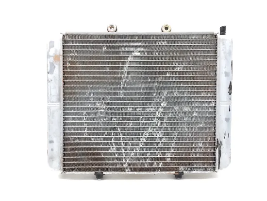 Engine Radiator Cooling 2017 Polaris RZR 570 3252 x