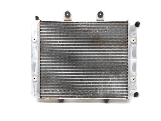 Engine Radiator Cooling 2017 Polaris RZR 570 3252 x