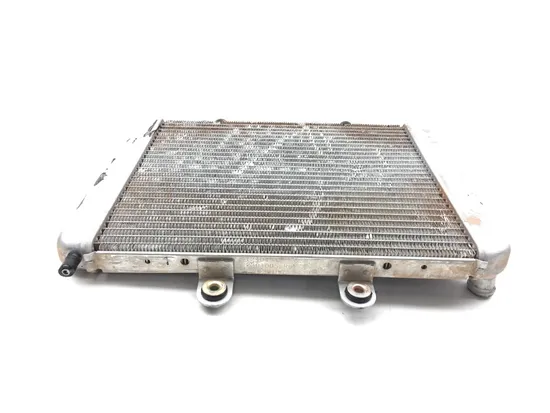 Engine Radiator Cooling 2017 Polaris RZR 570 3252 x