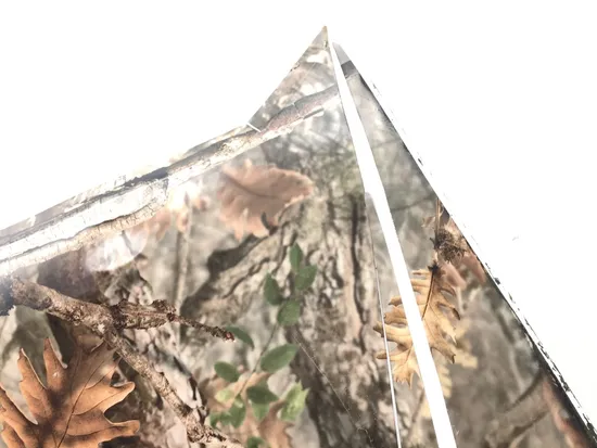 White Hood 2017 Polaris RZR 570 3252