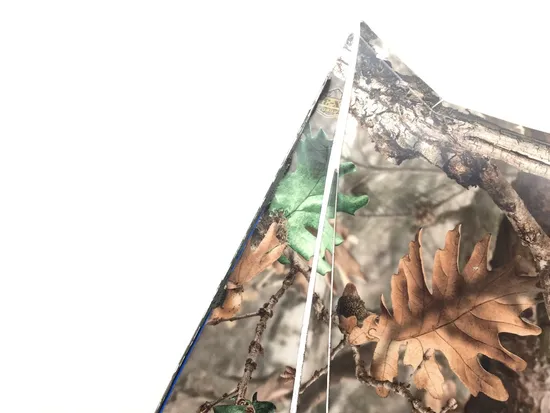 White Hood 2017 Polaris RZR 570 3252