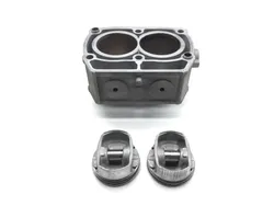 Aftermarket Engine Cylinder Jug W Piston 2013 Polaris RZR 800 LE EPS 3251 PARTS