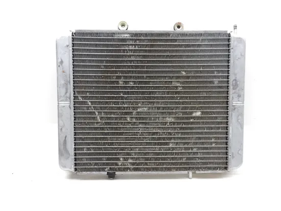 Engine Radiator Cooling 2013 Polaris RZR 800 LE EFI EPS 3251