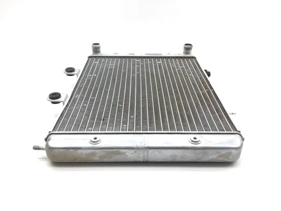 Engine Radiator Cooling 2013 Polaris RZR 800 LE EFI EPS 3251