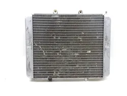 Engine Radiator Cooling 2013 Polaris RZR 800 LE EFI EPS 3251