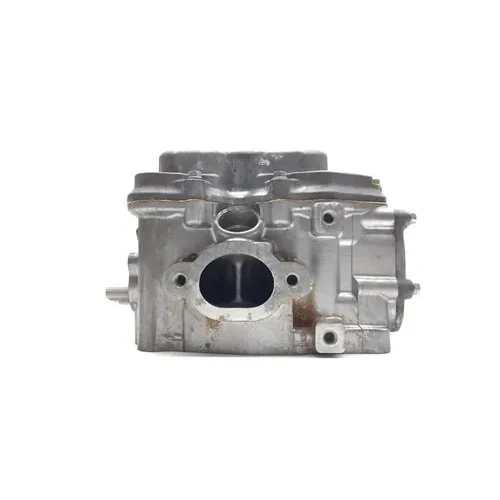 Engine Cylinder Head Complete W Cams Valves 2006 Polaris Sportsman 500 EFI 3253 10