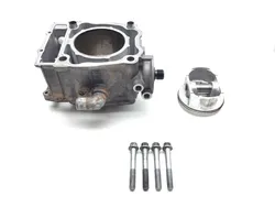 Engine Cylinder Jug W Piston 2006 Polaris Sportsman 500 4x4 HO EFI 3253