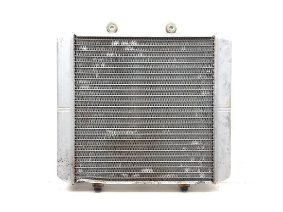 Engine Radiator Cooling 2006 Polaris Sportsman 500 4x4 HO EFI 3253 x