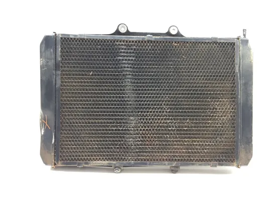 Engine Radiator Cooling 2022 CF-Moto ZFORCE 950 HO Sport 3255 x