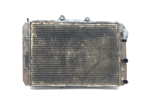 Engine Radiator Cooling 2022 CF-Moto ZFORCE 950 HO Sport 3255 x