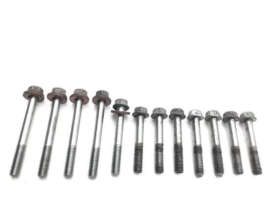 Upper Lower Center Cases Case Bolts 2003 Honda CBR954RR 3225