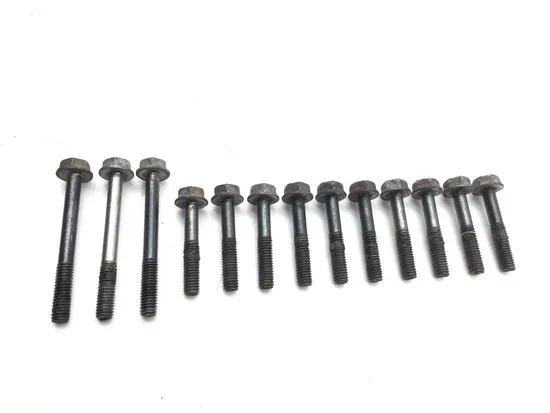 Upper Lower Center Cases Case Bolts 2003 Honda CBR954RR 3225