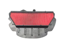 Air Filter 2003 Honda CBR954RR 3225