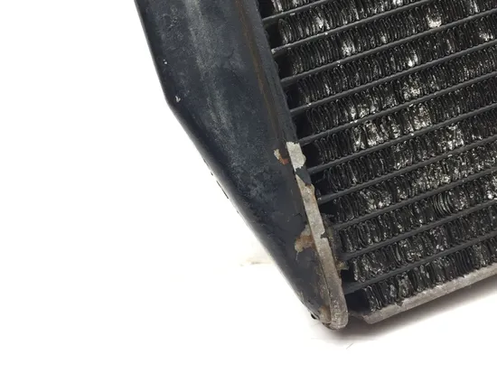 Engine Radiator Cooling 2003 Honda CBR954RR 3225 x