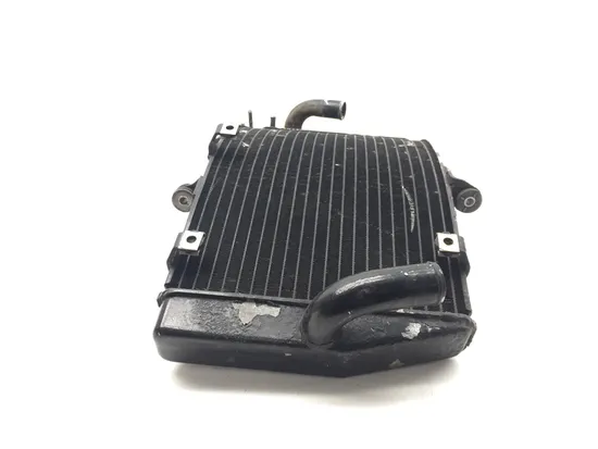 Engine Radiator Cooling 2003 Honda CBR954RR 3225 x