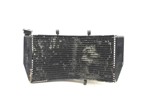 Engine Radiator Cooling 2003 Honda CBR954RR 3225 x