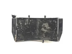 Engine Radiator Cooling 2003 Honda CBR954RR 3225 x
