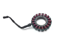 Engine Stator Generator 2006 Harley-Davidson Electra Glide FLHT 3246