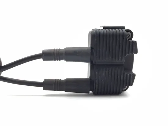 Ignition Coil Set 2006 Harley-Davidson Electra Glide FLHT 3246