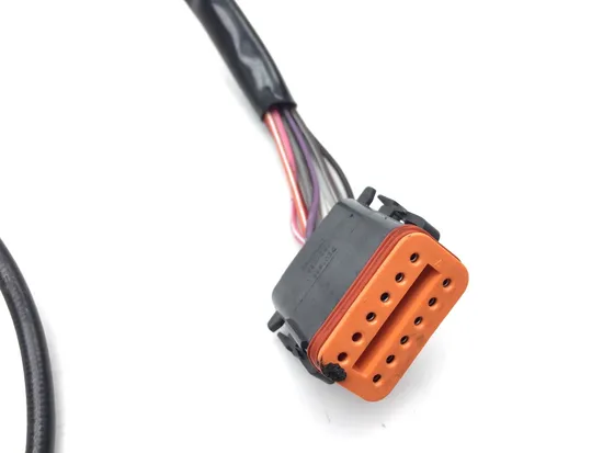 Right Control Switch 2006 Harley-Davidson Electra Glide FLHT 3246