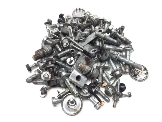 Misc Bolt Kit 2006 Harley-Davidson Electra Glide FLHT 3246