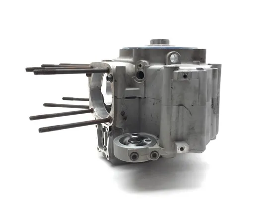 Engine Left Right Center Cases 2002 HarleySoftail Standard EFI FXSTI 3245