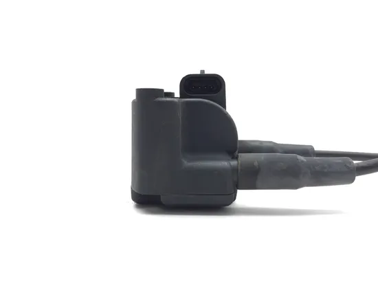 Ignition Coil Set 2002 Harley-Davidson Softail Standard EFI FXSTI 3245