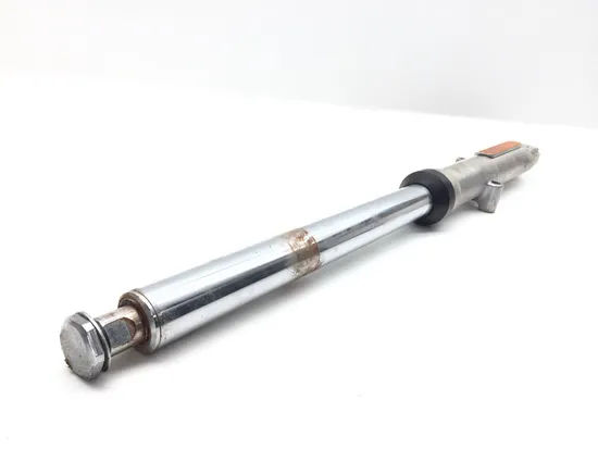 Front Forks Tubes Legs 2002 Harley-Davidson Softail Standard EFI FXSTI 3245 x