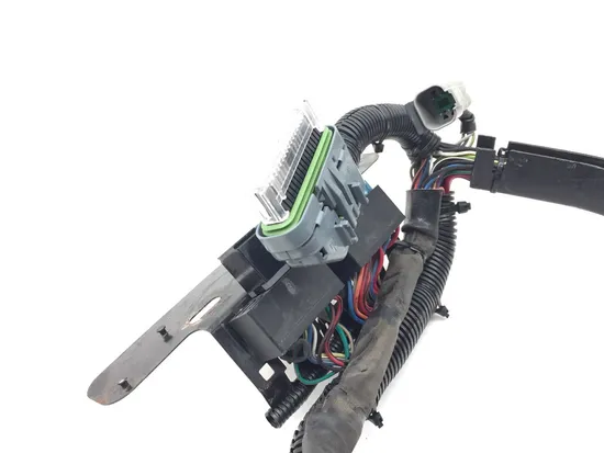 Main Engine Wiring Harness 2002 Harley-Davidson Softail Standard EFI FXSTI 3245