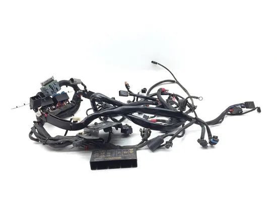 Main Engine Wiring Harness 2002 Harley-Davidson Softail Standard EFI FXSTI 3245
