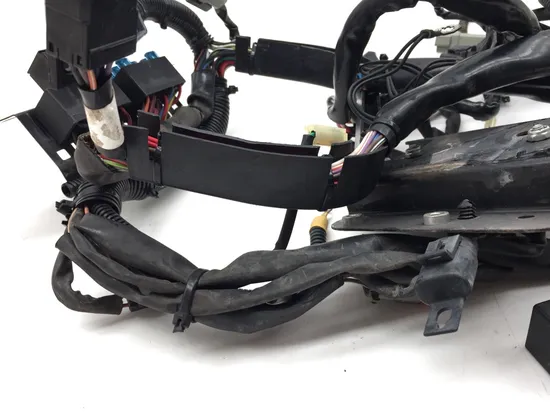 Main Engine Wiring Harness 2002 Harley-Davidson Softail Standard EFI FXSTI 3245