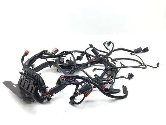 Main Engine Wiring Harness 2002 Harley-Davidson Softail Standard EFI FXSTI 3245